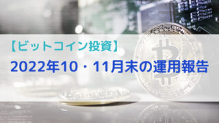 【ビットコイン投資】10・11月末の運用報告（9・10か月目） 