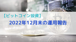 【ビットコイン投資】2022年12月末の運用報告（11ヵ月目） 
